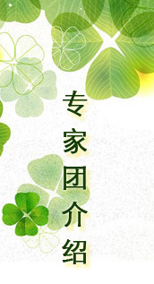 國投力信專家團(tuán)介紹